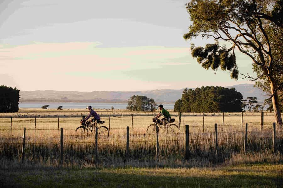 From Wellington: Remutaka Rail Trail eBike Tour - Detailed Breakdown of the Itinerary