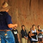 From Yulara: Uluru Tour and Sunset BBQ - What We Love About This Tour