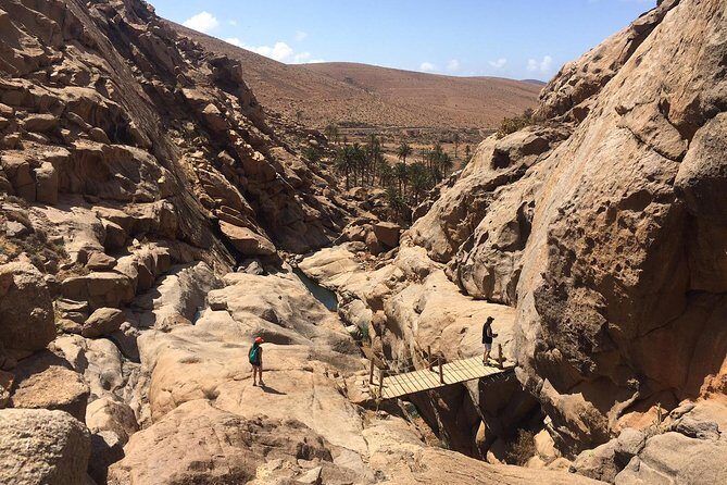 Fuerteventura South Exclusive Tour - Price and value: where the $81.06 makes sense (and where it doesn’t)