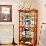 Full-Day 1770 Tour by LARC Amphibious Vehicle Including Sandboarding and Bustard Head Lightstation - What Do Travelers Say About the Experience?