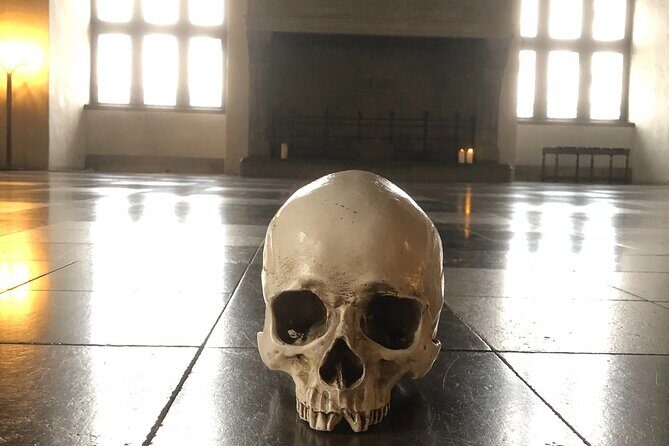 Full-Day; Castle, Palace, Cathedral & Viking ships Tour - Where it starts and how pickup actually works