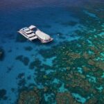 Full-Day Great Barrier Reef Pontoon with Snorkeling & Activities - What Travelers Say: The Good and the Less Good