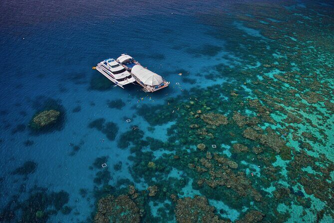 Full-Day Great Barrier Reef Pontoon with Snorkeling & Activities - What Travelers Say: The Good and the Less Good