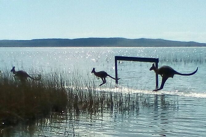 Full-Day Guided Noosa Everglades Kayak Tour - Who Should Consider This Tour?
