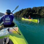 Full-Day Guided Sea Kayak Trip from Picton - The Value of the Tour