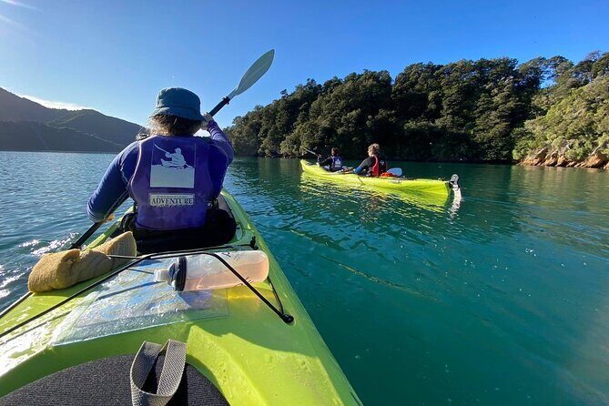 Full-Day Guided Sea Kayak Trip from Picton - The Value of the Tour