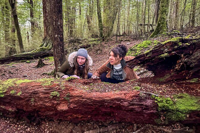 Full Day Lord of the Rings Mavora Lakes Adventure! - What the Reviews Say