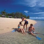 Full Day Low Isles Sailing & Snorkelling Cruise from Port Douglas - Snorkeling and Marine Life Encounters