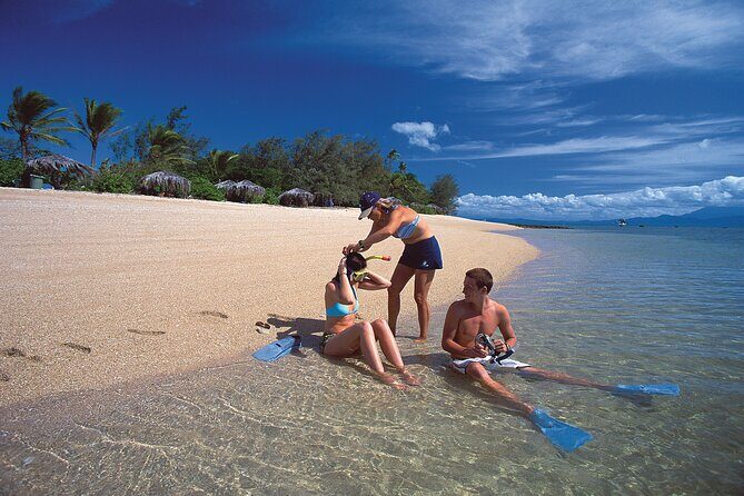 Full Day Low Isles Sailing & Snorkelling Cruise from Port Douglas - Snorkeling and Marine Life Encounters