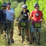 Full-Day Marlborough Wine Region Bike Hire - Potential Drawbacks