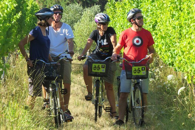 Full-Day Marlborough Wine Region Bike Hire - Potential Drawbacks