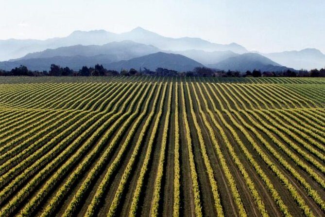 Full-Day Marlborough Wine Tour from Blenheim - Exploring the Itinerary in Detail