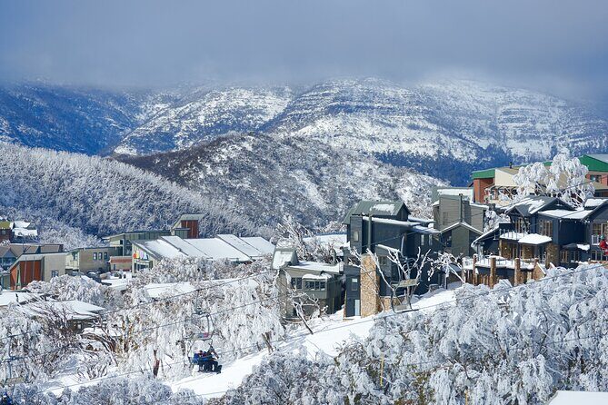 Full-Day Mount Buller Tour - The Value of This Tour
