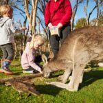 Full-Day Phillip Island Tour with Kangaroo, Koala and Penguin Parade - Transportation, Timing, and Group Size