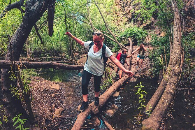 Full Day Rainforest Tour with Tasting and Swimming Time ツ - Your Guide Makes All the Difference