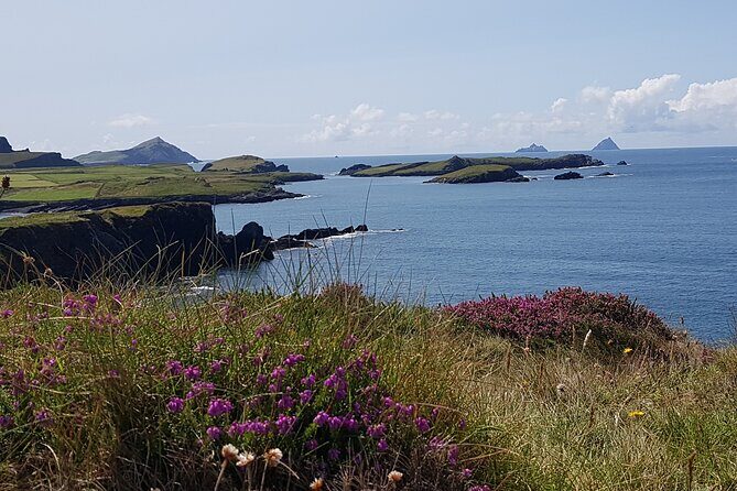 Full-Day Ring of Kerry Tour from Killarney - The Guides Make the Difference