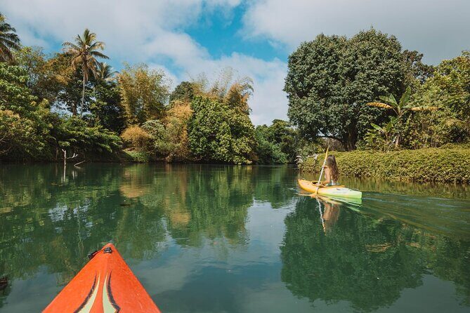 Full Day River Kayaking & Cascades from Port Vila - An In-Depth Look at the Vanuatu River Kayaking & Cascades Tour