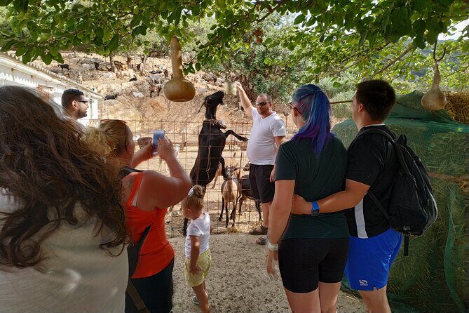 Full-Day Small-Group Tour in Crete with Zeus Cave Visit - Practical Considerations That Matter