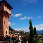 Full-Day Taste the Wines of Marlborough Tour - The Itinerary in Detail