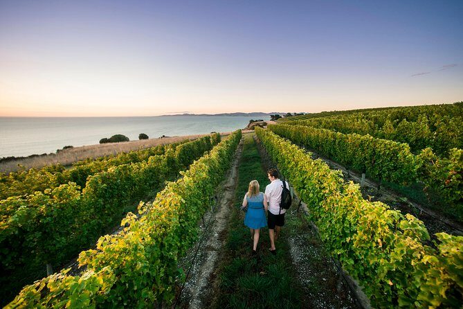 Full Day Winemakers Tour in Marlborough - The Value of This Tour