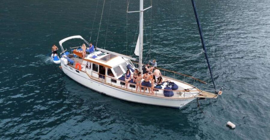 Funchal: Dolphin and Whale Watching Sailing Trip - 3 Hours on the Water: A Relaxed Pace (Not a Half-Day Sprint)