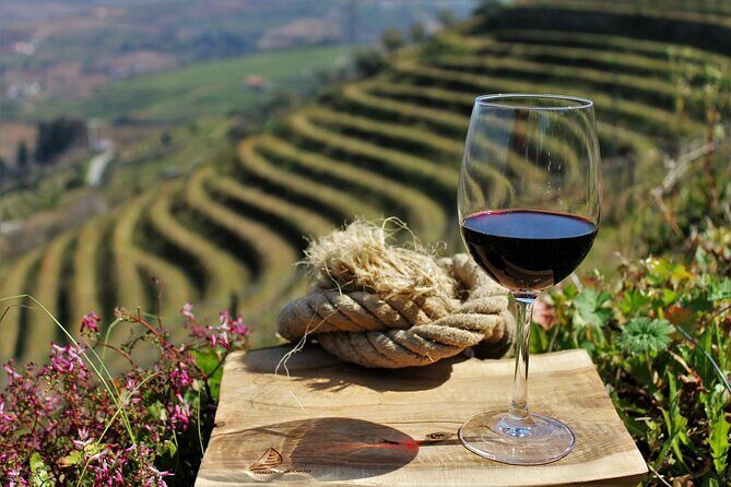 Genuine Douro Valley Tour: Visit 2 Wineries, Lunch & River Cruise - The drive that does half the work: N222 scenic road time