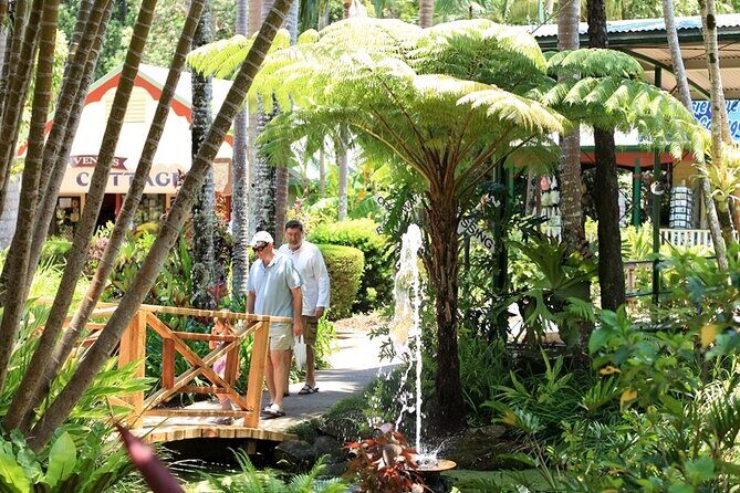 Ginger Factory and Nutworks Return Bus Transfer: Sunshine Coast - Analyzing the Value