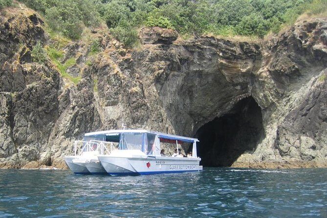 Glass Bottom Boat Tour - Final Thoughts: Is the Glass Bottom Boat Tour Worth It?