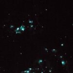 Glow Worm Caves Express Tour in Bay of Islands - The Kawiti Glowworm Caves: The Main Event