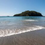 Goat Island: Glass Bottom Boat Tour - What’s Included and What to Expect