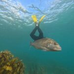 Goat Island Guided Snorkeling Tour for Beginners - The Experience Duration and Logistics
