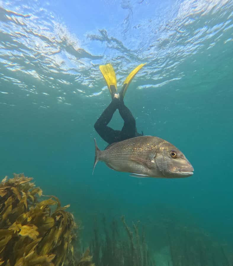 Goat Island Guided Snorkeling Tour for Beginners - The Experience Duration and Logistics