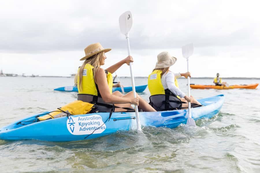 Gold Coast: Kayaking and Snorkeling Guided Tour - The Details: Itinerary and Group Experience