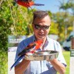 Gold Coast: Lamington Treetops, Wildlife and Vineyard Visit - What the Reviews Say