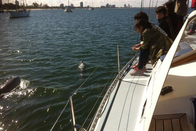 Gold Coast Sailing Cruise with sparkling wine & nibbles platter - A Closer Look at the Experience