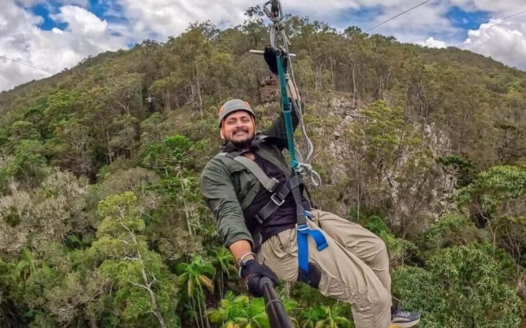 Gold Coast: Tamborine Mountain Canyon Flyer Zipline Tour - What to Expect During the Tour