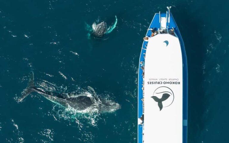 Gold Coast Whale Experience - Who is this tour best suited for?