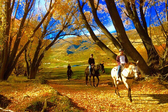 Gold Discovery Trail Horse Trek Cardrona - Most popular! - The History and the Local Charm