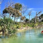 Golden Beach 1-Hour Stand-Up Paddleboard Hire on the Sunshine Coast - Practical Details and Tips