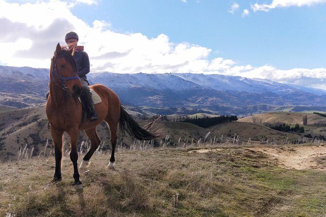 Golden Hills Horse Trek in Central Otago - Who Should Consider This Tour?