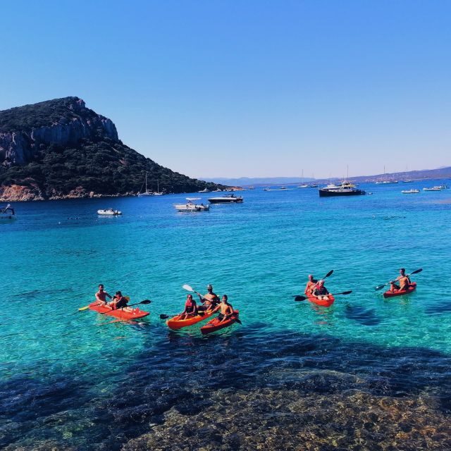 Golfo Aranci: Kayak Tour with Dolphins and Aperitif - Getting on the water: kayak lessons that actually help