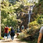 Grampians National Park Small-Group Eco Day Tour - How the Experience Scores on Value and Comfort