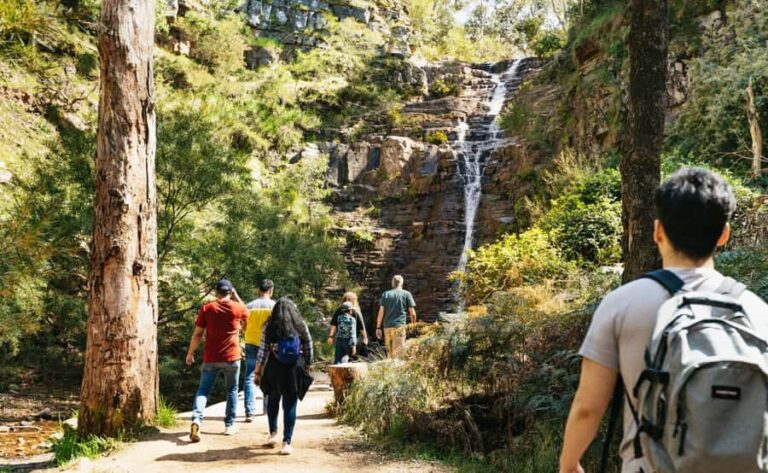 Grampians National Park Small-Group Eco Day Tour - How the Experience Scores on Value and Comfort