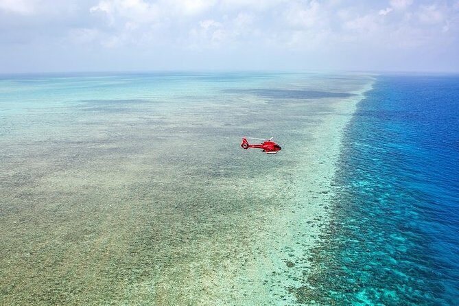 Great Barrier Reef 30-Minute Scenic Helicopter Tour from Cairns - The Itinerary In Detail