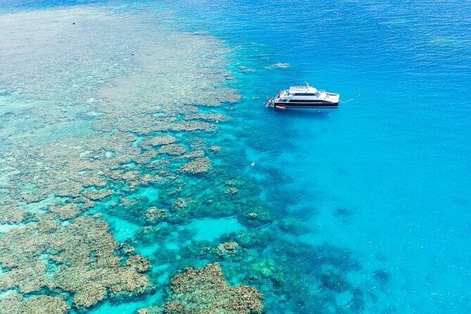 Great Barrier Reef with Cultural Guides-Dreamtime Dive & Snorkel - Is This Tour Worth the Cost?