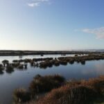 Great Escape Self-Guided Scenic Cycle Winery Tour from Napier - The Route and Stops