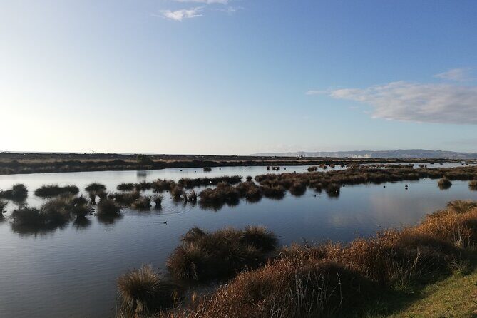 Great Escape Self-Guided Scenic Cycle Winery Tour from Napier - The Route and Stops