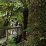 Great Ocean Road, 12 Apostles, Rainforest & Morning Tea-Melbourne - Final thoughts: is this tour right for you?