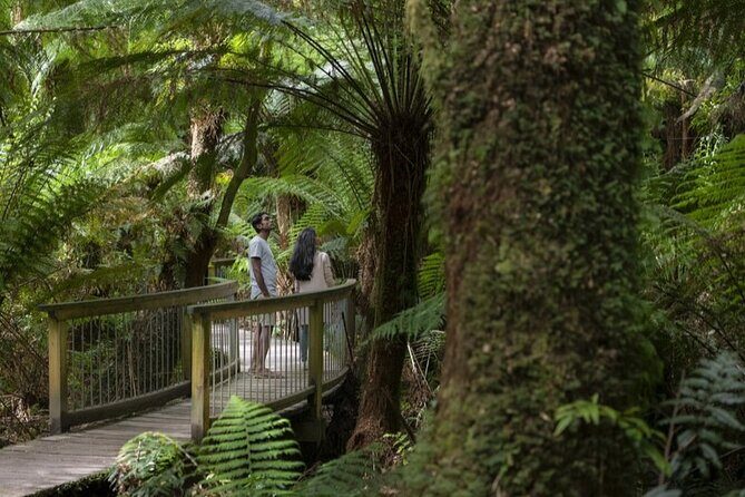 Great Ocean Road, 12 Apostles, Rainforest & Morning Tea-Melbourne - Final thoughts: is this tour right for you?