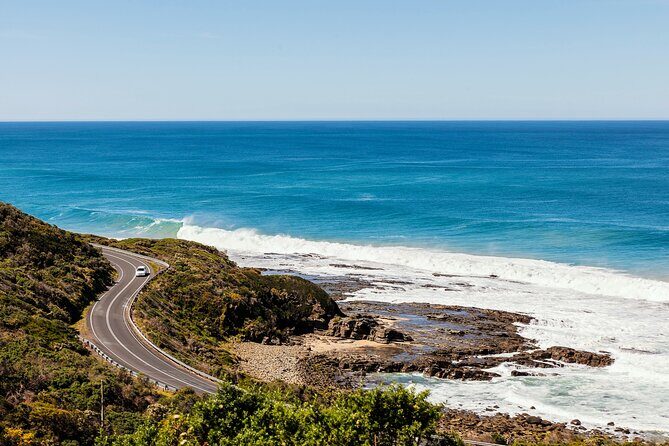 Great Ocean Road Reverse Tour with Iconic Stops & Wildlife - What Travelers Say